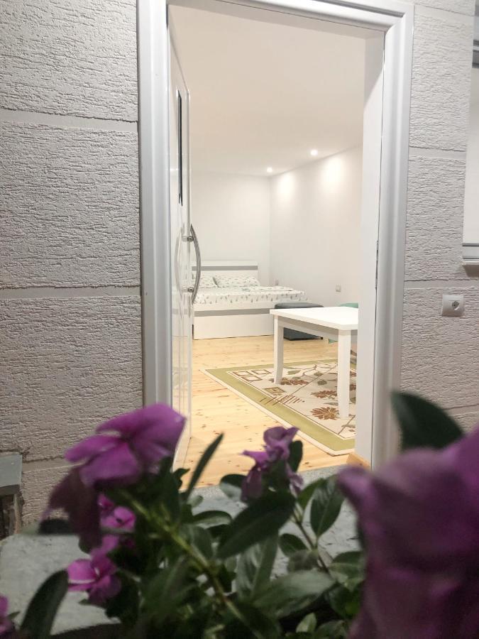 Apartament Seana